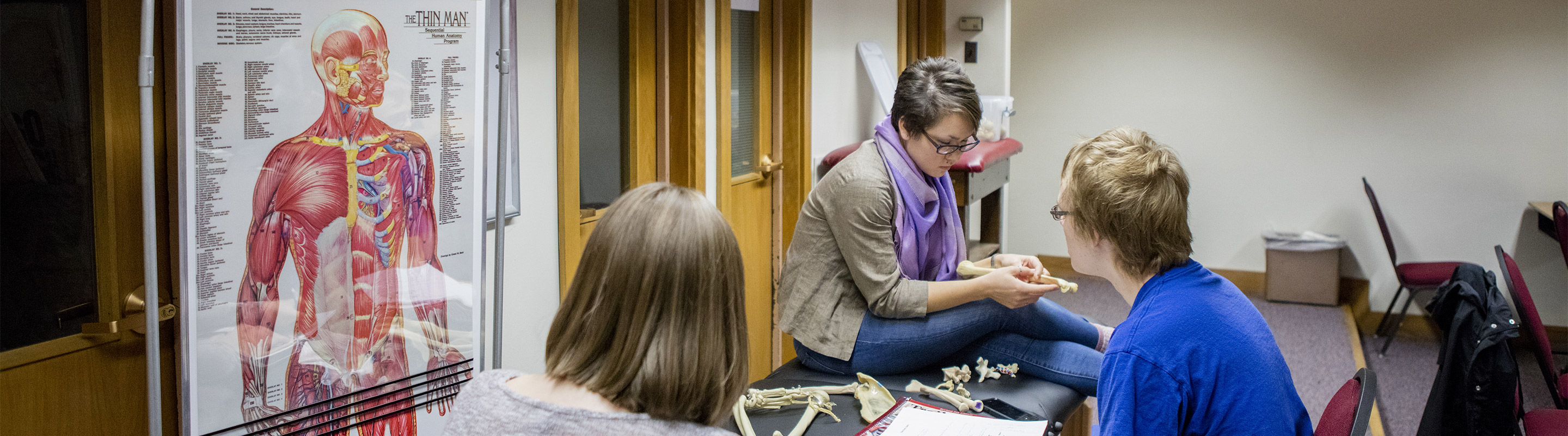 Students studying exercise physiology