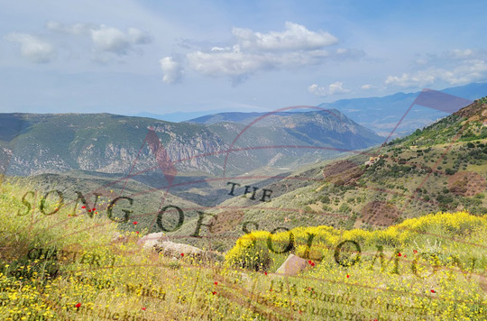 Song of Songs Event Thumbnail 540x356.jpg